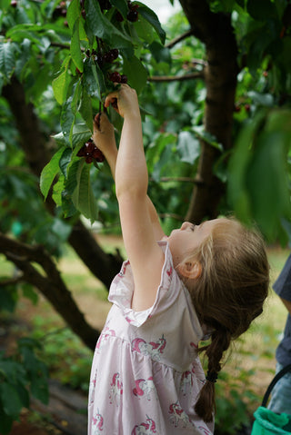 'Follow Your Dreams' -  Bubblegum Pink Stretch Organic Cotton Flutter Sleeve Play Dress