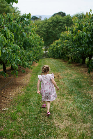 'Follow Your Dreams' -  Bubblegum Pink Stretch Organic Cotton Flutter Sleeve Play Dress
